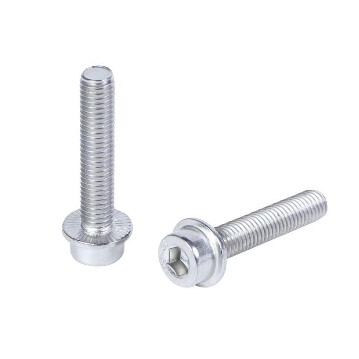 दाँतेदार निकला हुआ किनारा पेंच के साथ DIN251 हेक्सागोन सॉकेट हेड